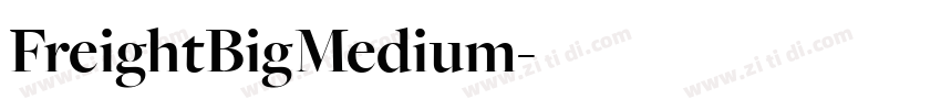 FreightBigMedium字体转换