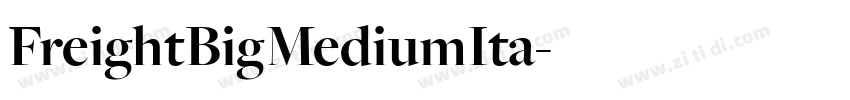FreightBigMediumIta字体转换
