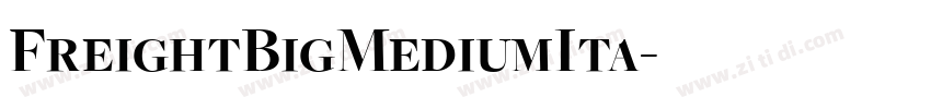 FreightBigMediumIta字体转换
