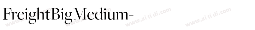 FreightBigMedium字体转换
