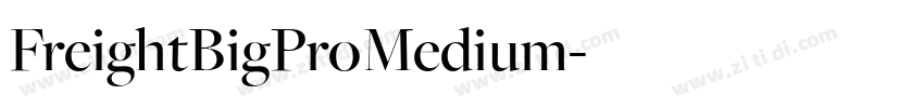 FreightBigProMedium字体转换