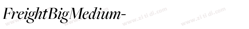 FreightBigMedium字体转换