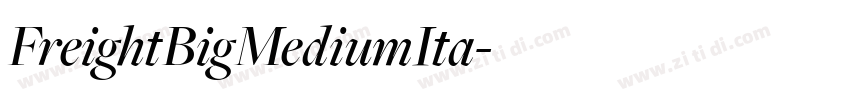 FreightBigMediumIta字体转换