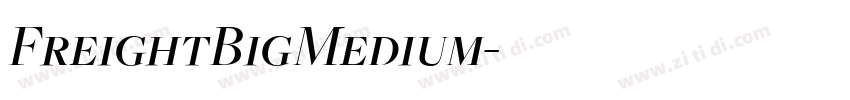 FreightBigMedium字体转换