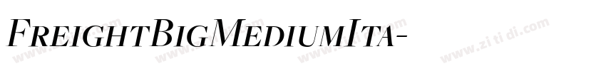 FreightBigMediumIta字体转换