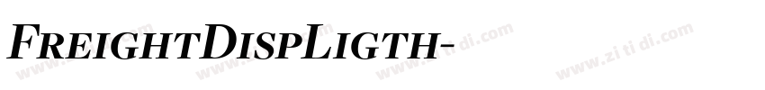 FreightDispLigth字体转换
