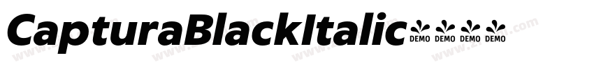 CapturaBlackItalic字体转换