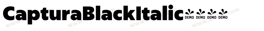 CapturaBlackItalic字体转换