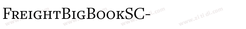 FreightBigBookSC字体转换