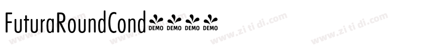 FuturaRoundCond字体转换