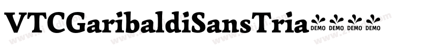 VTCGaribaldiSansTria字体转换