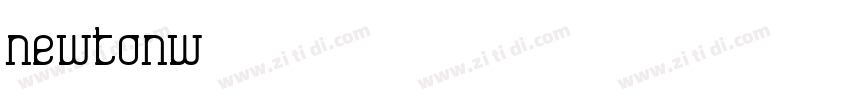 NewtonW01字体转换