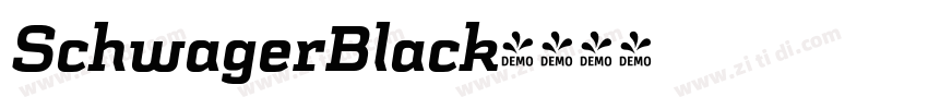 SchwagerBlack字体转换