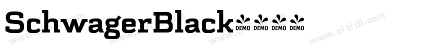 SchwagerBlack字体转换