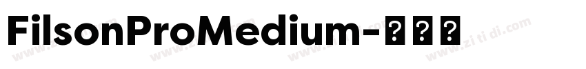 FilsonProMedium字体转换