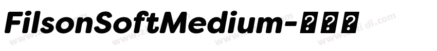FilsonSoftMedium字体转换