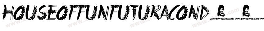 HouseOfFunFuturaCond字体转换