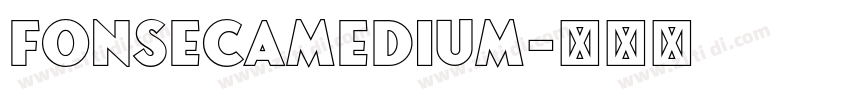 FonsecaMedium字体转换