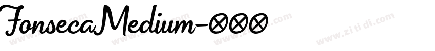 FonsecaMedium字体转换