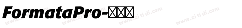 FormataPro字体转换