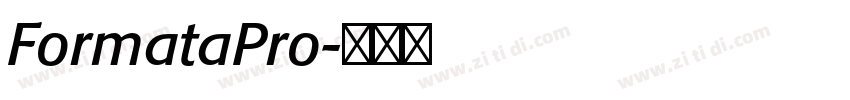 FormataPro字体转换