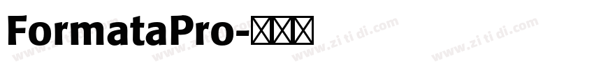 FormataPro字体转换