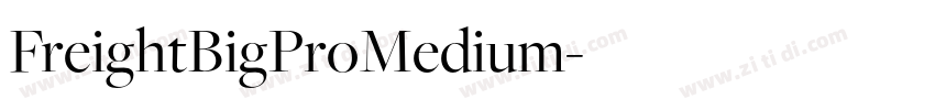 FreightBigProMedium字体转换