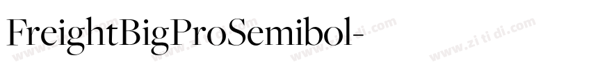 FreightBigProSemibol字体转换
