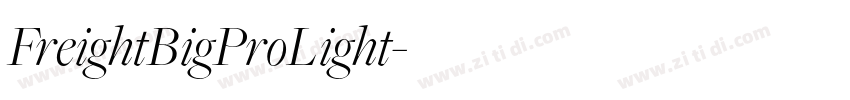 FreightBigProLight字体转换