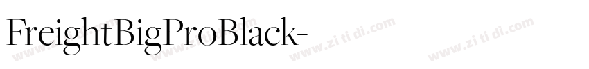 FreightBigProBlack字体转换