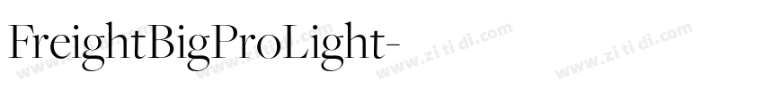 FreightBigProLight字体转换