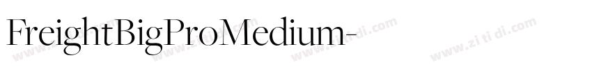 FreightBigProMedium字体转换