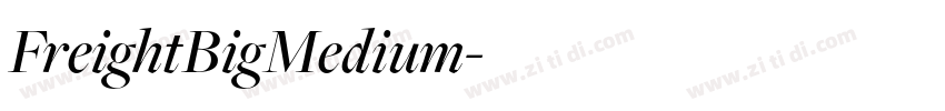FreightBigMedium字体转换