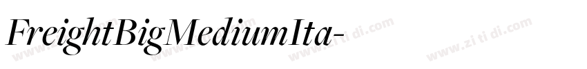 FreightBigMediumIta字体转换