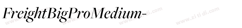 FreightBigProMedium字体转换