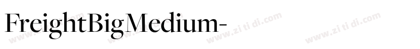 FreightBigMedium字体转换