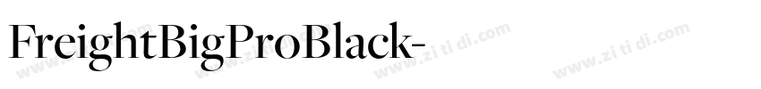 FreightBigProBlack字体转换