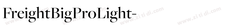 FreightBigProLight字体转换