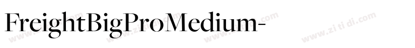 FreightBigProMedium字体转换