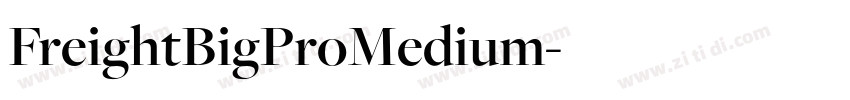 FreightBigProMedium字体转换