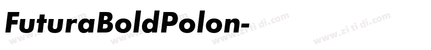 FuturaBoldPolon字体转换