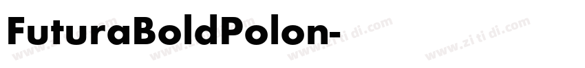 FuturaBoldPolon字体转换