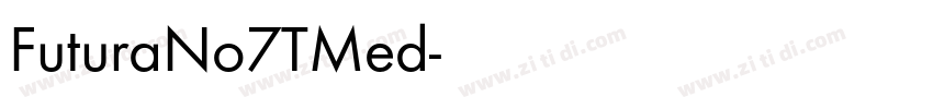 FuturaNo7TMed字体转换