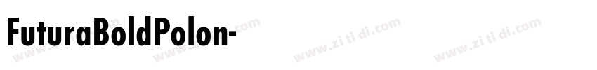 FuturaBoldPolon字体转换