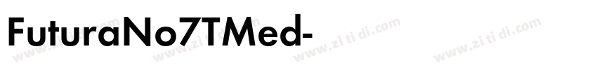 FuturaNo7TMed字体转换