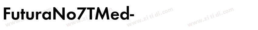 FuturaNo7TMed字体转换