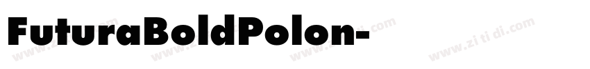 FuturaBoldPolon字体转换