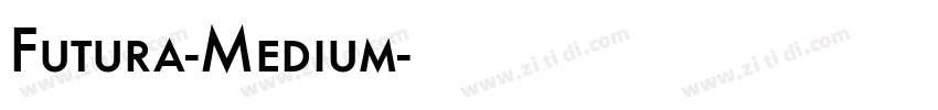Futura-Medium字体转换