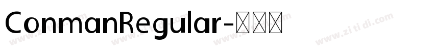 ConmanRegular字体转换