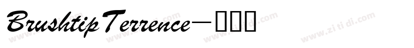 BrushtipTerrence字体转换